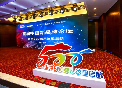 莫在山腳談規劃，沖上山頂論英雄——首屆中國新品牌論壇力邀領軍企業現身說法