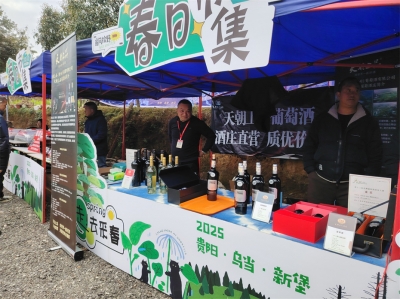 天朝上品葡萄酒亮相“三月三民族文化節”